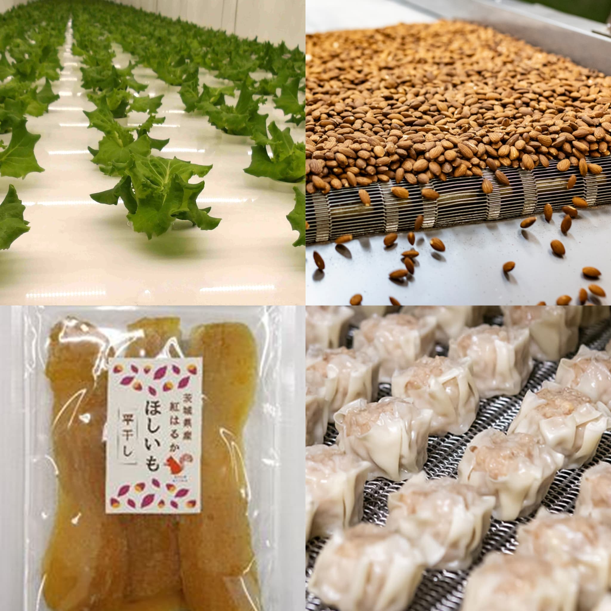 Logistics and food processing business