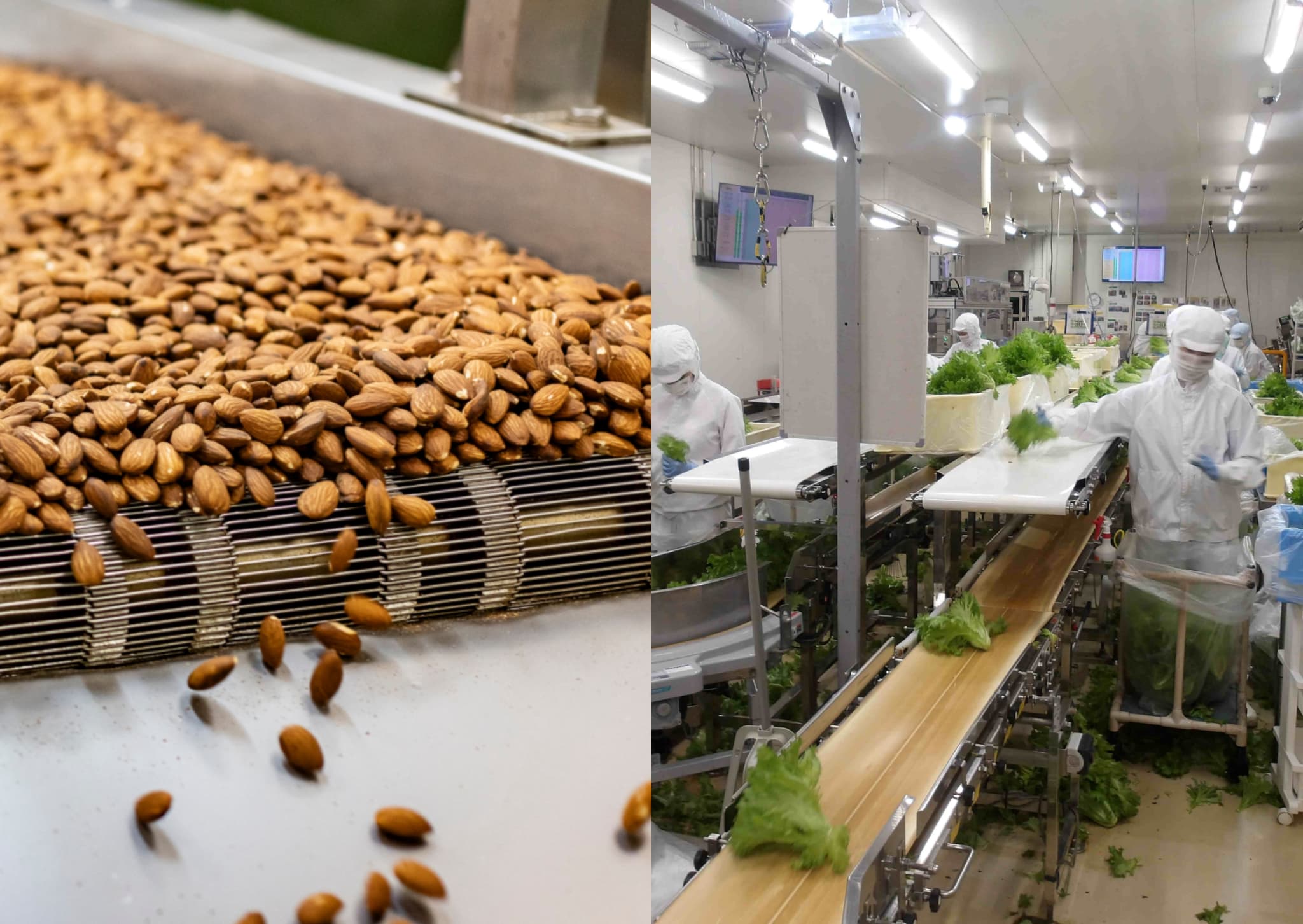 Logistics and food processing business